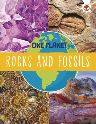 Rocks and Fossils (One Planet)