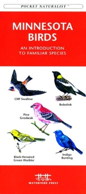 Ohio Birds: A Folding Pocket Guide to Familiar Species (Wildlife and Nature Identification)