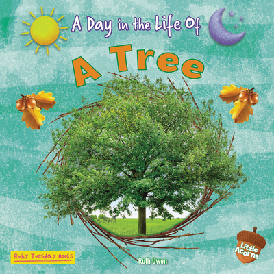 A Tree (Little Acorns -- A Day in the Life of)