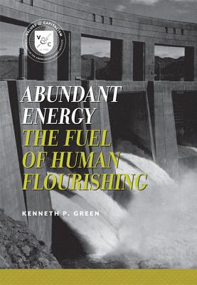Abundant Energy: The Fuel of Human Flourishing (Values and Capitalism) cover