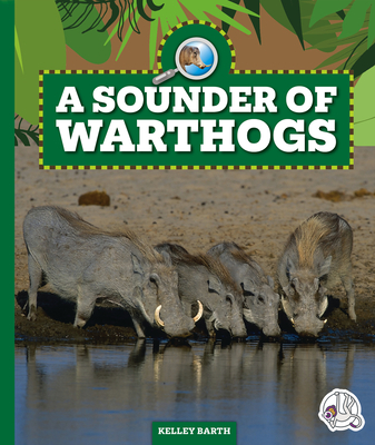 A Sounder of Warthogs (Safari Animal Families)