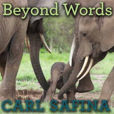 Cover for Beyond Words