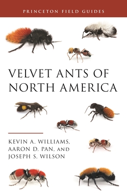 Velvet Ants of North America (Princeton Field Guides #145)