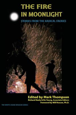 The Fire in Moonlight: Stories from the Radical Faeries 1971 - 2010 Cover Image