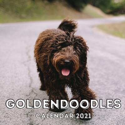 Goldendoodles: 2021 Calendar, Cute Gift Idea For Goldendoodle Lovers Or  Owners Men And Women (Paperback) | Left Bank Books