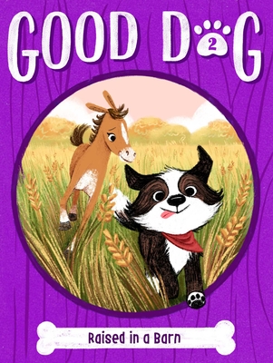 Raised in a Barn (Good Dog #2) By Cam Higgins, Ariel Landy (Illustrator) Cover Image