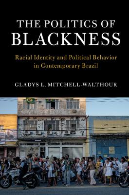 The Politics of Blackness (Cambridge Studies in Stratification Economics: Economics and)