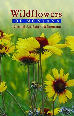 Wildflowers of Montana By Donald Anthony Schiemann Cover Image
