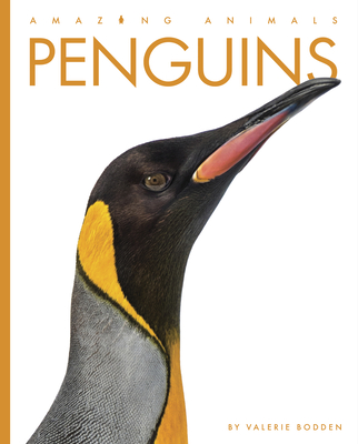 Penguins (Amazing Animals) By Valerie Bodden Cover Image