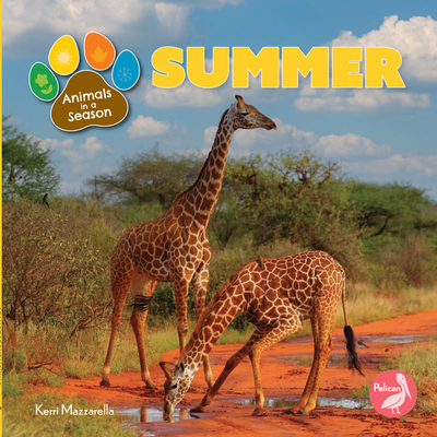 Summer (Animals in a Season)