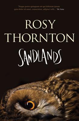 Cover for Sandlands