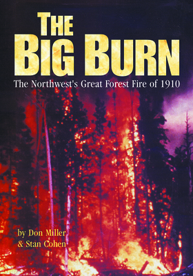 Big Burn Cover Image