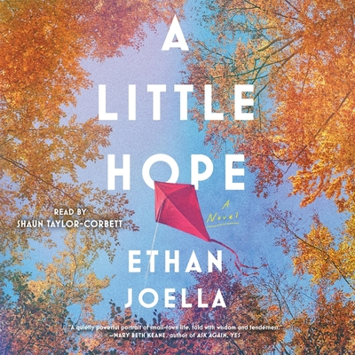 A Little Hope Cover Image