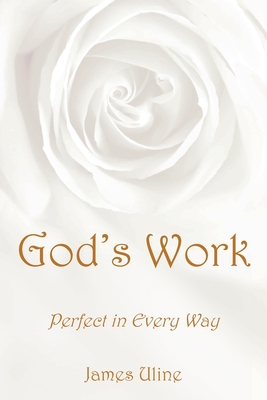God's Work: Perfect in Every Way Cover Image