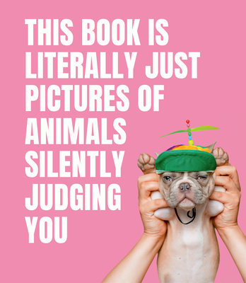 This Book is Literally Just Pictures of Animals Silently Judging You By Smith Street Books (Editor) Cover Image