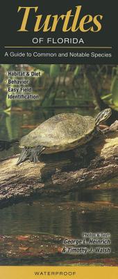 Turtles of Florida: A Guide to Common & Notable Species