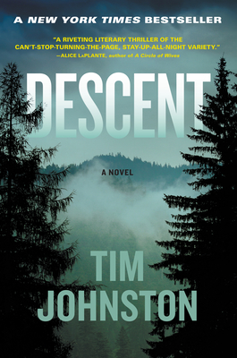 Cover Image for Descent: A Novel