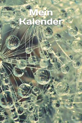 Mein Kalender: Wassertropfen-Regentropfen-Tropfen-Pearls Kalender/Planer Immerwährend 370 Seiten Zum Selbst Ausfüllen - Ewiger Kalend Cover Image