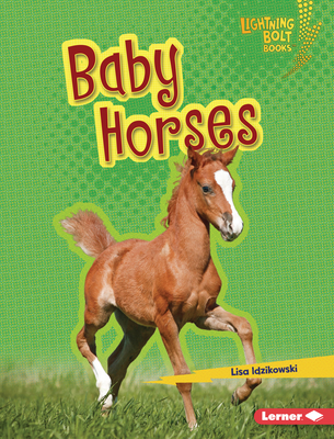 Baby Horses (Lightning Bolt Books (R) -- Horse Lover's Library)