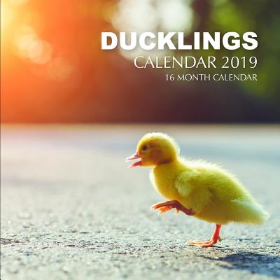 Ducklings Calendar 2019: 16 Month Calendar By Mason Landon Cover Image