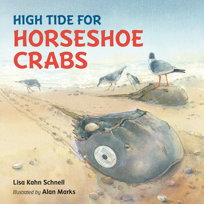 High Tide For Horseshoe Crabs Hardcover Eight Cousins Inc