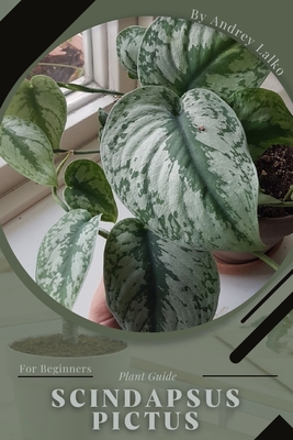 Scindapsus Pictus: Plant Guide By Andrey Lalko Cover Image