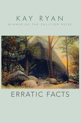 Cover for Erratic Facts