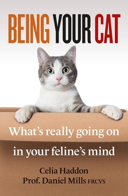 Being Your Cat: What’s really going on in your feline’s mind