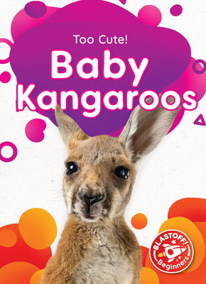 Baby Kangaroos By Betsy Rathburn Cover Image