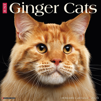 Just Ginger Cats 2023 Wall Calendar