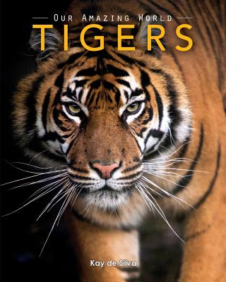 Tigers: Amazing Pictures & Fun Facts on Animals in Nature By Kay De Silva Cover Image