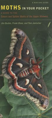 Moths in Your Pocket: A Guide to the Saturn and Sphinx Moths of the Upper Midwest (Bur Oak Guide)