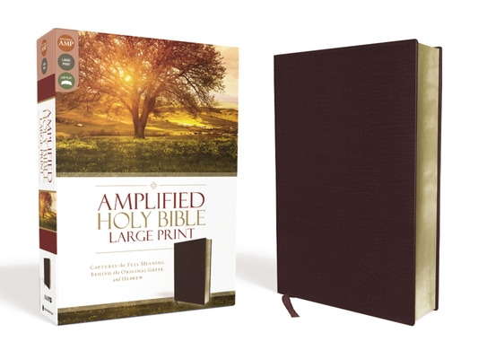 Amplified Bible-Am-Large Print: Captures the Full Meaning Behind the Original Greek and Hebrew Cover Image