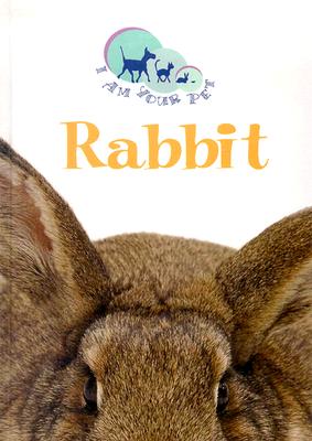 Rabbit (I Am Your Pet) By Matthew Rayner Cover Image