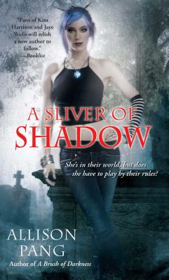 Cover for A Sliver of Shadow