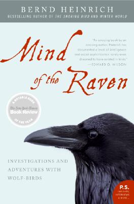 Mind of the Raven: Investigations and Adventures with Wolf-Birds By Bernd Heinrich Cover Image