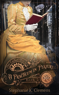 A Practicum in Perjury By Stephanie K. Clemens Cover Image