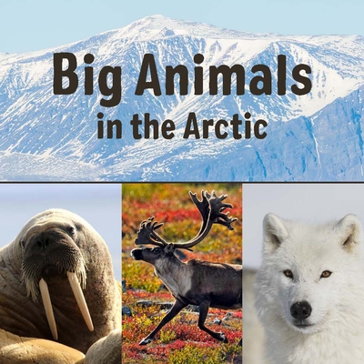 Big Animals in the Arctic: English Edition (Paperback) | Malaprop's  Bookstore/Cafe