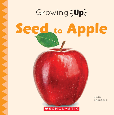 Seed to Apple (Growing Up) (Paperback) By Jodie Shepherd Cover Image