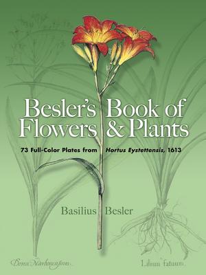 Besler's Book of Flowers and Plants: 73 Full-Color Plates from Hortus Eystettensis, 1613 (Dover Pictorial Archive) By Basilius Besler Cover Image