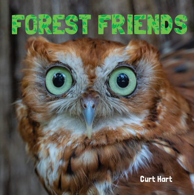 Cover for Forest Friends