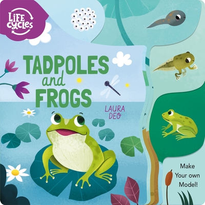 Life Cycles: Tadpoles and Frogs: Make Your Own Model! Cover Image