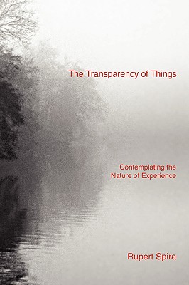 The Transparency of Things Cover