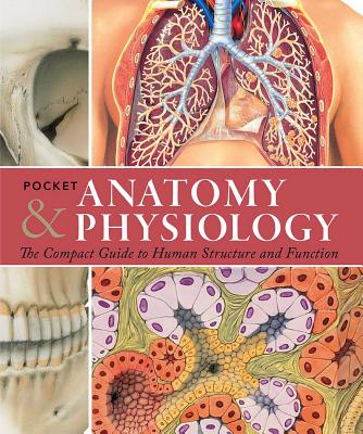 Pocket Anatomy & Physiology: The Compact Guide to the Human Body and How It Works Cover Image