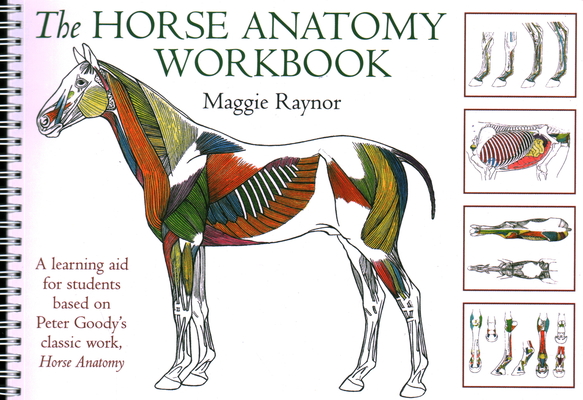 The Horse Anatomy Workbook: A Learning Aid for Students Based on Peter Goody's Classic Work, Horse Anatomy By Maggie Raynor Cover Image