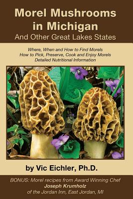 Morel Mushrooms in Michigan And Other Great Lakes States 