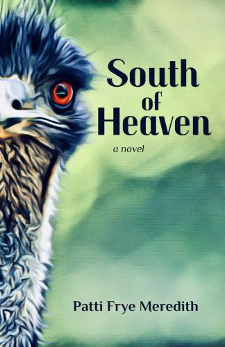 South of Heaven By Patti Frye Meredith Cover Image