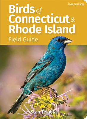 Birds of Connecticut & Rhode Island Field Guide (Bird Identification Guides)