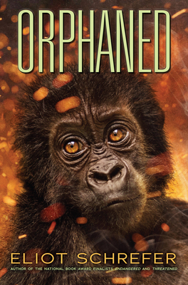 Cover for Orphaned (Ape Quartet #4)