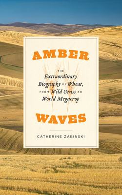 Amber Waves: The Extraordinary Biography of Wheat, from Wild Grass to World Megacrop By Catherine Zabinski Cover Image